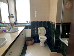 Cairnhill Plaza (D9), Apartment #554219411